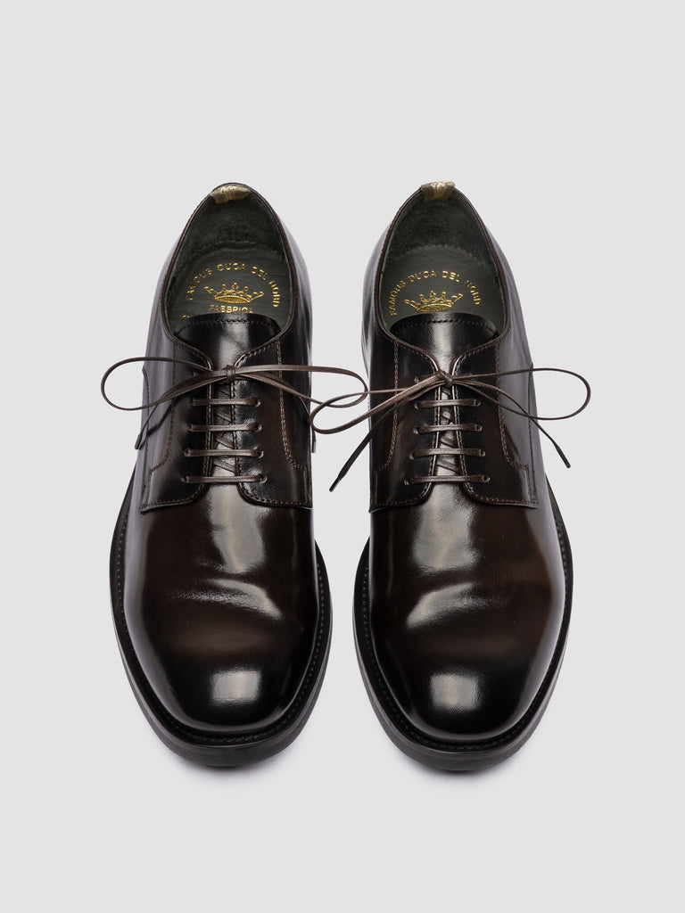 ACADEMIA 001 - Brown Leather Derby Shoes