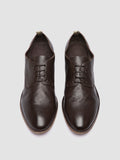 CALIFORNIA 005 - Brown Leather Derby Shoes
