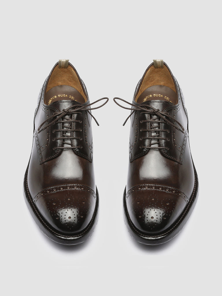 TEMPLE 003 - Brown Leather Derby Shoes