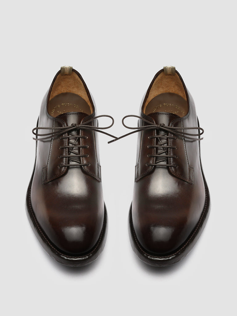 TEMPLE 007 - Brown Leather Derby Shoes